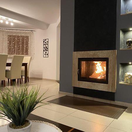 4 Bedroom Family House With Access To A Hot Tub Goczałkowice-Zdrój エクステリア 写真