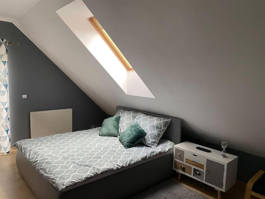 4 Bedroom Family House With Access To A Hot Tub Goczałkowice-Zdrój エクステリア 写真