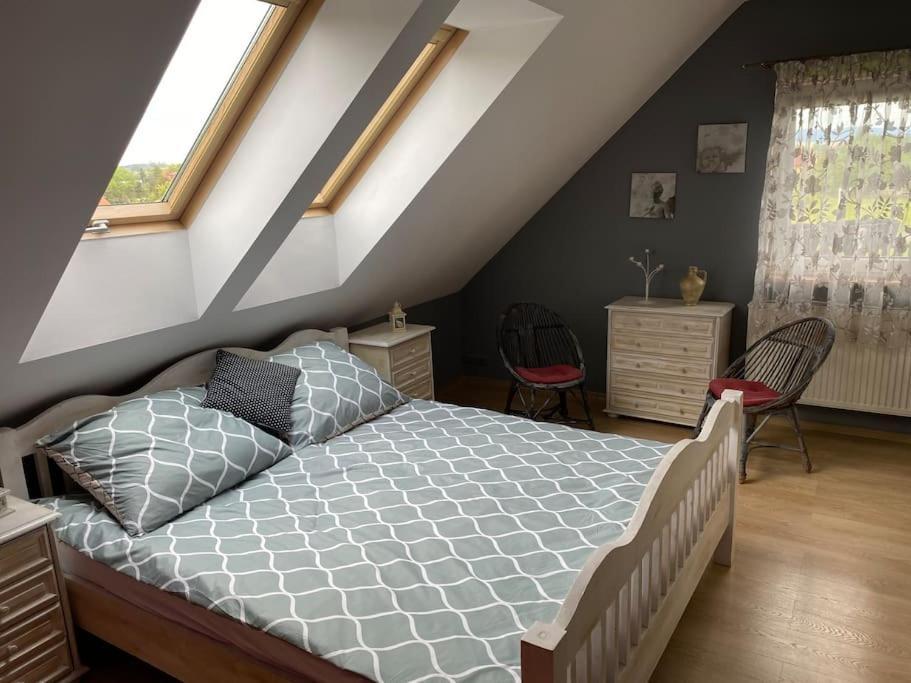 4 Bedroom Family House With Access To A Hot Tub Goczałkowice-Zdrój エクステリア 写真