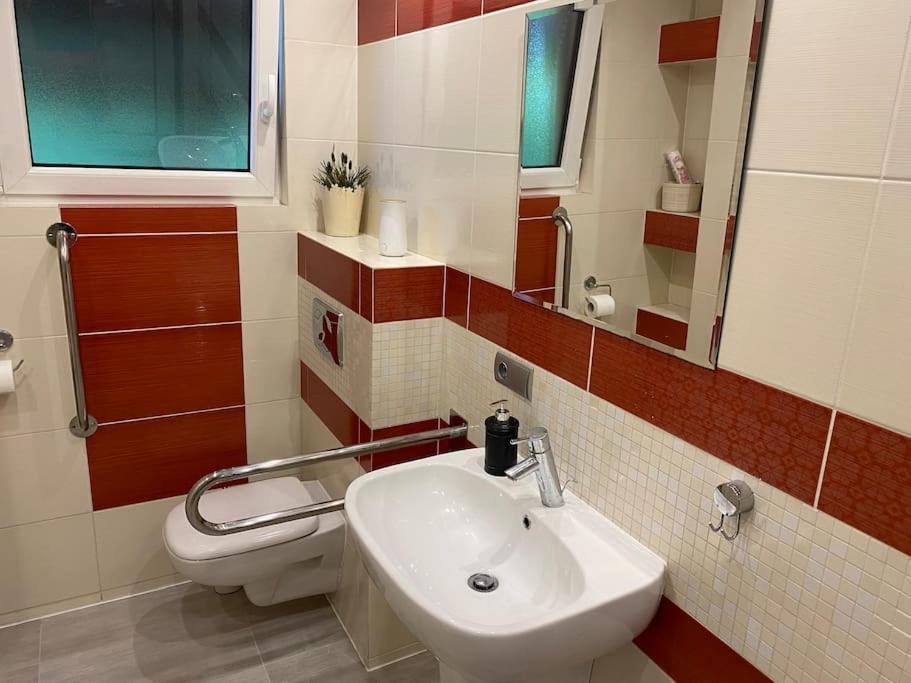 4 Bedroom Family House With Access To A Hot Tub Goczałkowice-Zdrój エクステリア 写真