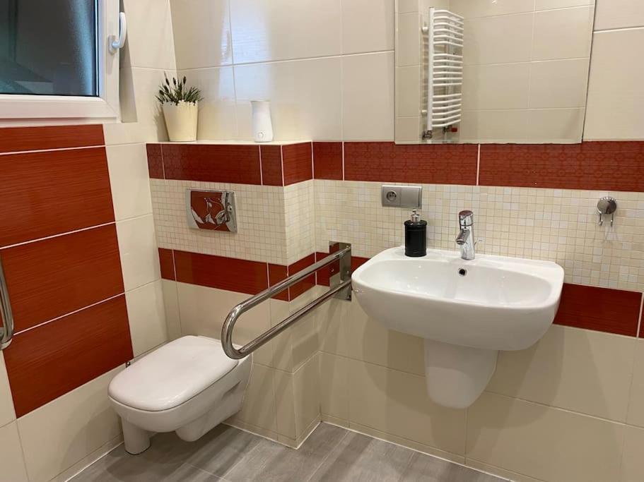 4 Bedroom Family House With Access To A Hot Tub Goczałkowice-Zdrój エクステリア 写真