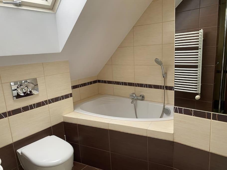 4 Bedroom Family House With Access To A Hot Tub Goczałkowice-Zdrój エクステリア 写真