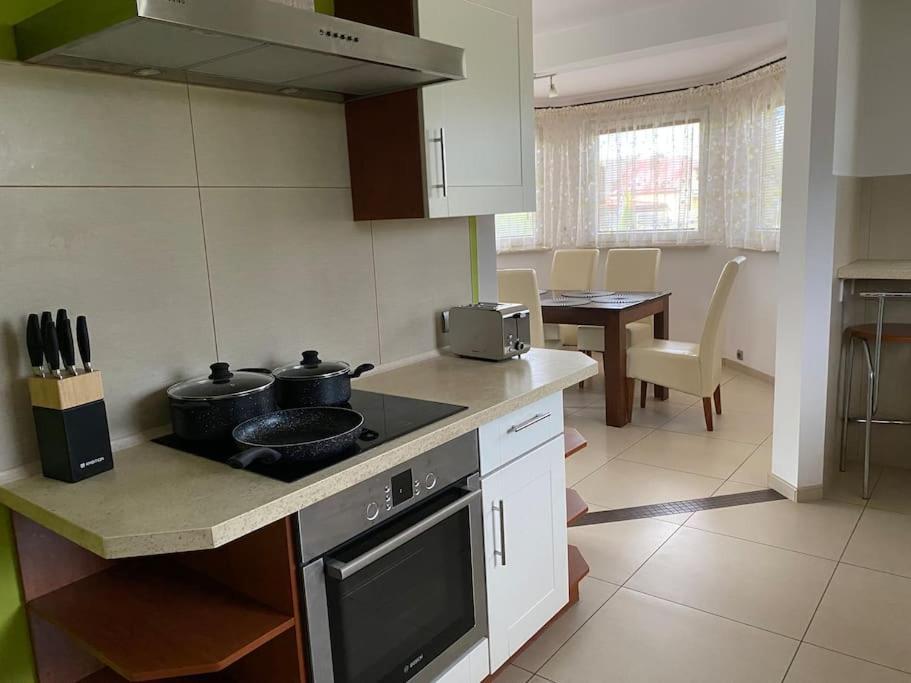 4 Bedroom Family House With Access To A Hot Tub Goczałkowice-Zdrój エクステリア 写真