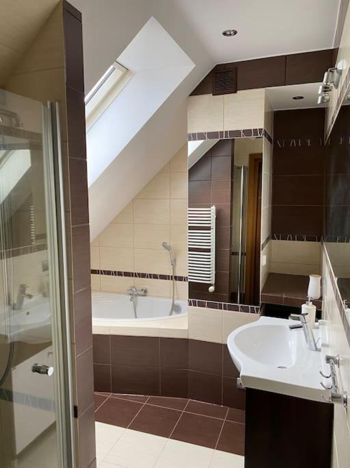 4 Bedroom Family House With Access To A Hot Tub Goczałkowice-Zdrój エクステリア 写真