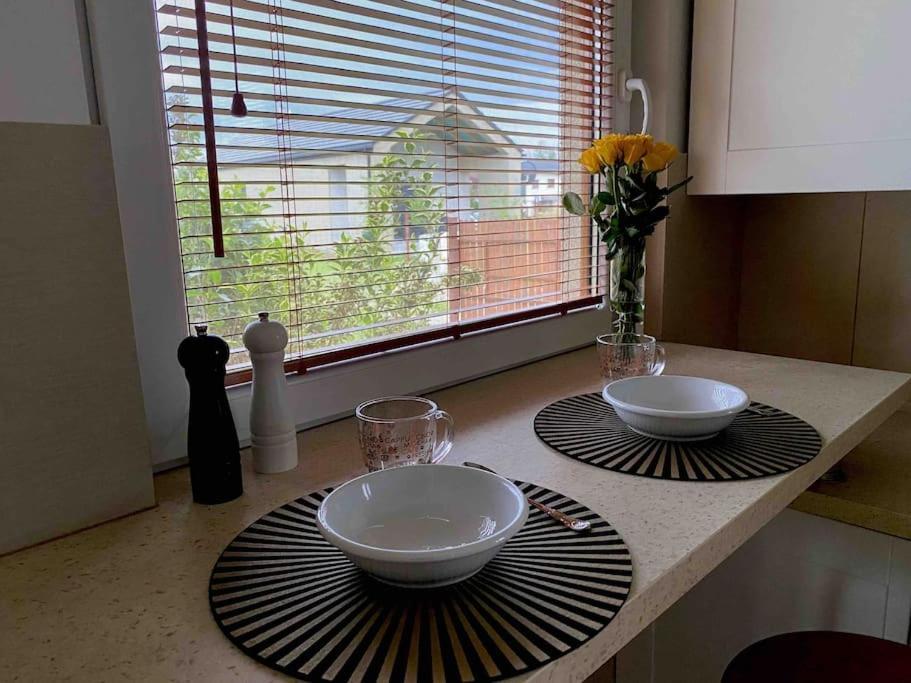4 Bedroom Family House With Access To A Hot Tub Goczałkowice-Zdrój エクステリア 写真
